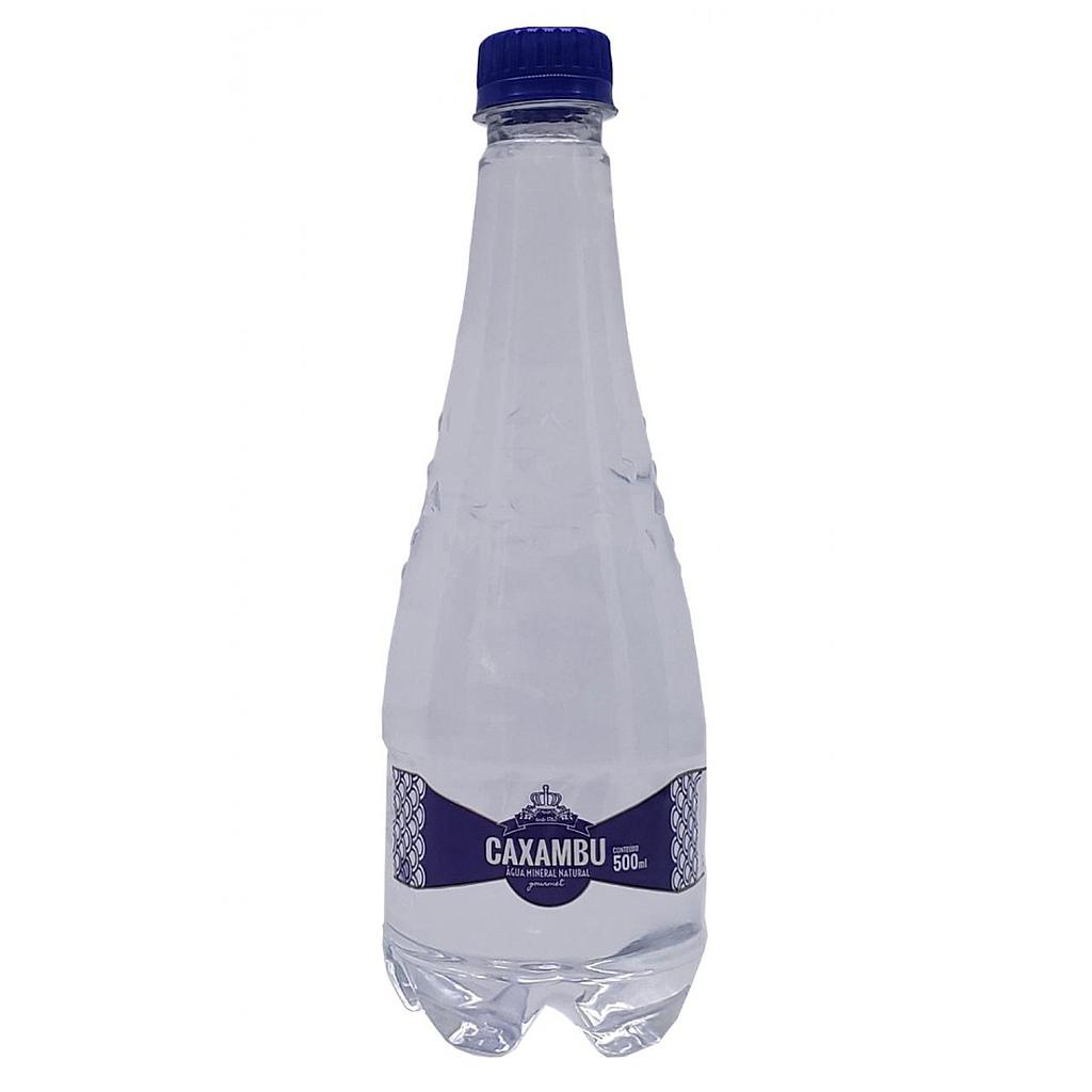 Água Mineral Natural Caxambu 500ml